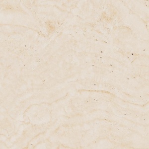 Masuta de cafea Prunus, Bej, 46.4x80x80 cm - Img 6