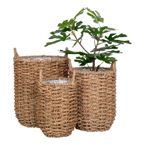 Set 3 piese Cosuri de rachita Hue, Natural, 26x26x32 cm - Img 4