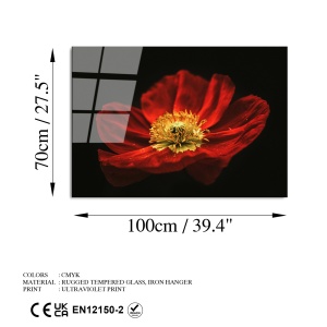 Tablou din sticlă temperată UV Multicolor 70x100 cm - Img 8