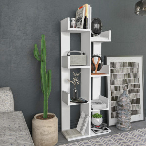 Biblioteca Luisa - Alb - Img 2