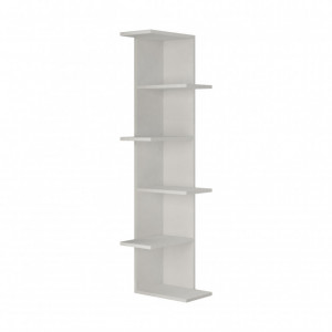 Biblioteca Saso - Alb - Img 2