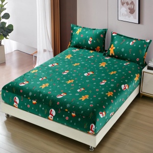 Cearsaf de pat Cocolino cu elastic si 2 fete de perna Merry V13 180x200cm