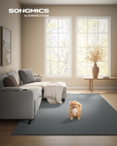 Covor Songmics Gri 290x200x0.1 cm - Img 2