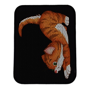 Covoras pentru litiera pisici Nrszn0118 Multicolor 45x60 cm - Img 2