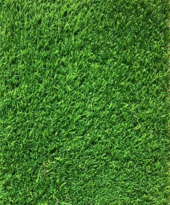 Gazon Artificial, Avent, Verde, 100x1600 cm, Delta - Img 4