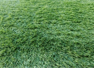 Gazon Artificial, Lion, Verde, 100x200 cm, Delta - Img 3