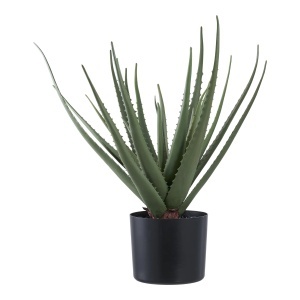 Planta artificiala decorativa Aloe Vera, Verde, 30.5x30.5x51 cm - Img 5