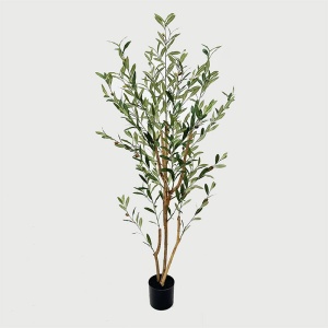 Planta decorativa cu ghiveci Olia Verde 65x55x180 cm