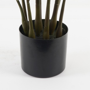 Planta decorativa cu ghiveci Zamia Verde 52x52x88 cm - Img 3