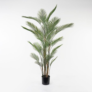 Planta decorativa Kwai Verde 125x125x180 cm