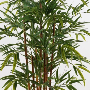 Planta decorativa Rhapis Palm Verde 60x60x120 cm - Img 2