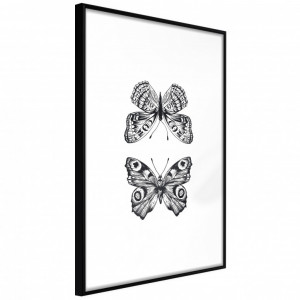 Poster - Butterfly Collection I, cu Ramă neagră, 20x30 cm