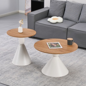 Set masute de cafea, 2 buc, Obsidian, Pako, Alb 70x70x43 cm