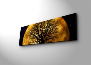 Tablou canvas iluminat LED 3090DACT-71 Multicolor 30x90x3 cm - Img 2
