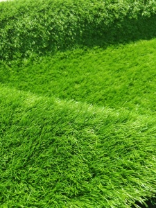 Gazon Artificial, Sri Lanka, Verde, 400x800 cm, Delta - Img 2