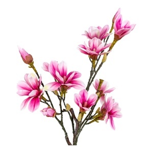 Planta artificiala decorativa Magnolia, Verde, 30x40x75 cm