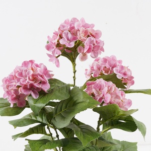 Planta decorativa cu ghiveci Hydrangea Galben pal 35x35x50 cm - Img 2