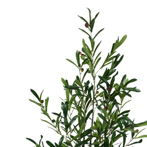 Planta decorativa Olive tree in ghiveci verde plastic PP H120 cm - Img 2