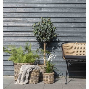 Set 4 piese Cosuri Bogor, Natura, 40x40x35 cm
