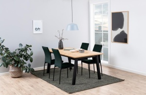 Set 4 piese Scaune dining Demina, Verde, 92x43.5x53 cm