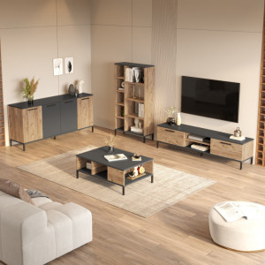 Set de mobilier pentru living RL6-AA, Pin atlantinc- Antracit - Img 2