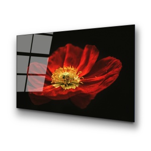 Tablou din sticlă temperată UV Multicolor 70x100 cm - Img 6