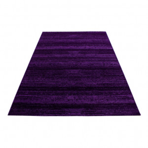 Covor Plus Lila V1 80x150 cm - Img 2