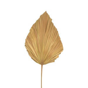 Decoratiune frunza Walsy Natural H135 cm - Img 2