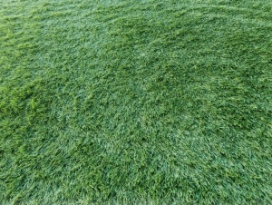 Gazon Artificial, Despi, Verde, 400x1300 cm, Delta - Img 4