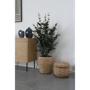 Planta artificiala decorativa Eucalipt, Verde, 36x46x120 cm - Img 3