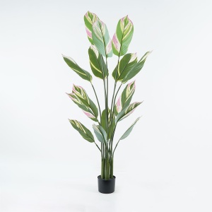 Planta decorativa Aglaonema Verde 80x80x150 cm