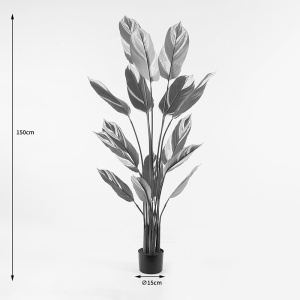 Planta decorativa Aglaonema Verde 80x80x150 cm - Img 4