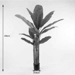 Planta decorativa cu ghiveci Banana Tree Verde 53x53x190 cm - Img 4