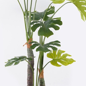 Planta decorativa cu ghiveci Deliciosa Verde 90x90x160 cm - Img 2