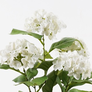 Planta decorativa cu ghiveci Hydrangea Verde 35x35x50 cm - Img 2