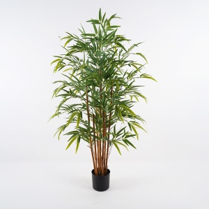 Planta decorativa Rhapis Palm Verde 60x60x120 cm