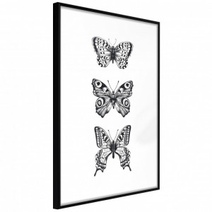 Poster - Butterfly Collection III, cu Ramă neagră, 30x45 cm