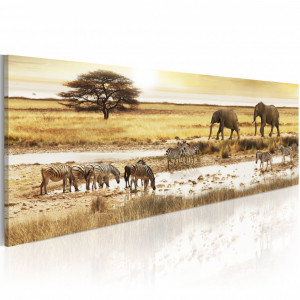 Tablou - Africa: at the waterhole 135x45 cm