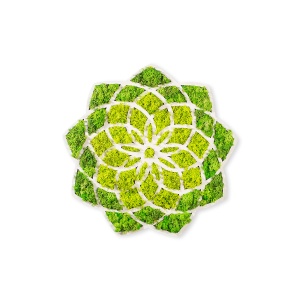 Accesoriu decorativ de perete Daisy Verde 44x1.6x44 cm - Img 4