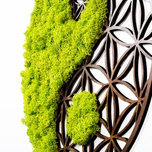 Accesoriu decorativ de perete Yin Yang Verde 44x1x44 cm - Img 3