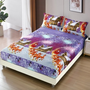 Cearsaf de pat Cocolino cu elastic si 2 fete de perna Merry V14 180x200cm