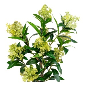 Planta artificiala decorativa Skimmia Skimmia, Verde, 40x40x75 cm