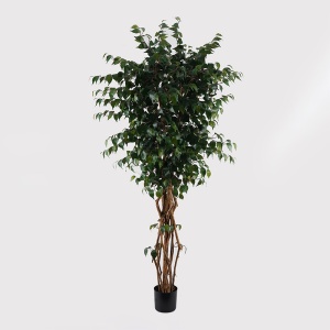 Planta decorativa Banyan Verde 95x95x180 cm