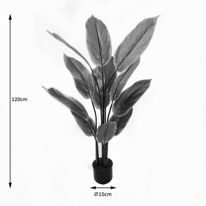 Planta decorativa cu ghiveci Calathea Verde 68x68x120 cm - Img 4