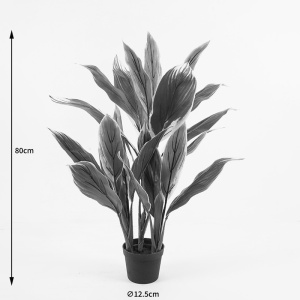 Planta decorativa cu ghiveci Cycas Verde 55x55x80 cm - Img 4