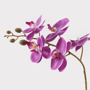 Planta decorativa cu ghiveci Orchid Mov 30x13x46 cm - Img 2