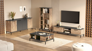 Set de mobilier pentru living RL6-AA, Pin atlantinc- Antracit - Img 3
