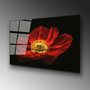Tablou din sticlă temperată UV Multicolor 70x100 cm - Img 4