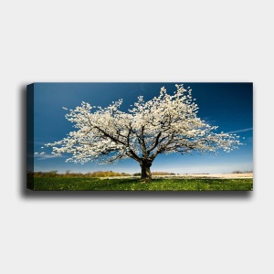 Tablou YTY1233464 Multicolor 50x120 cm - Img 2