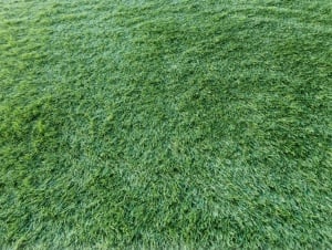 Gazon Artificial, Despi, Verde, 400x1700 cm, Delta - Img 4
